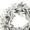 24" Royal Oaks Flocked Wreath with Warm White Plug-In LED Lights Elegant Snow-Kissed Holiday Decoration